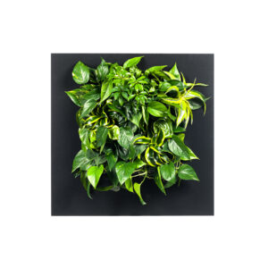 Plantenschilderij 72x72 cm