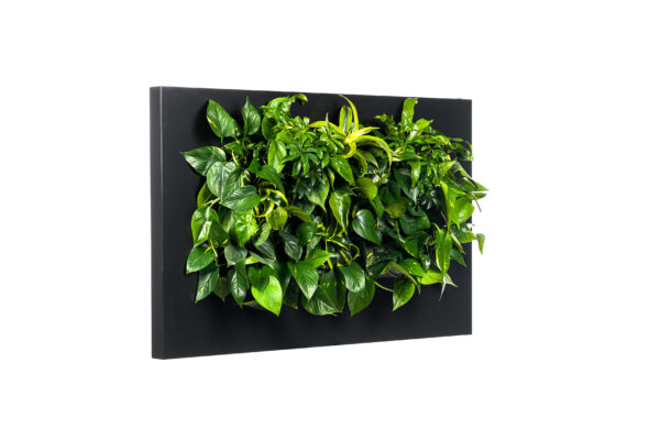 Plantenschilderij 112x72 cm - Afbeelding 2