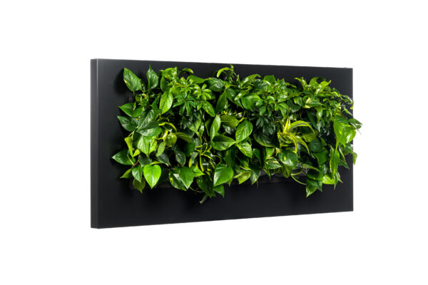 Plantenschilderij 152x72 cm - Afbeelding 2