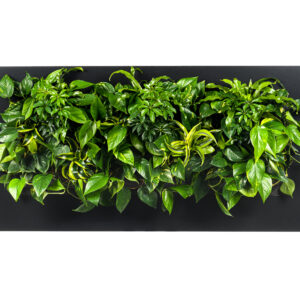 Plantenschilderij 152x72 cm