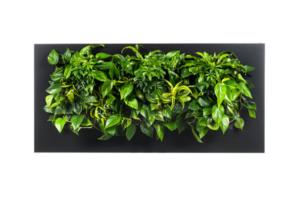 Plantenschilderij 152x72 cm