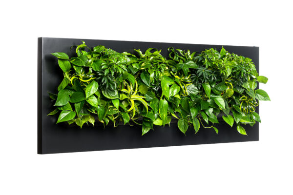 Plantenschilderij 192x72 cm - Afbeelding 2