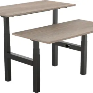 Zit/sta bureau Ergofy duo