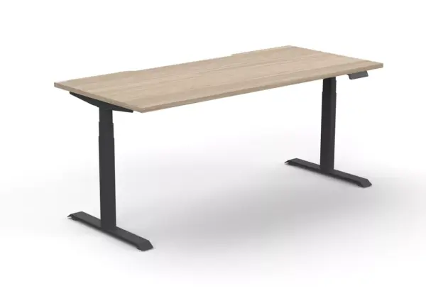 Zit/sta bureau Ergofy pro
